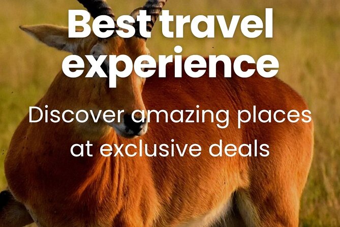 3 Days Unforgettable Masai Mara Safari Tour - Group size, comfort, and the road reality