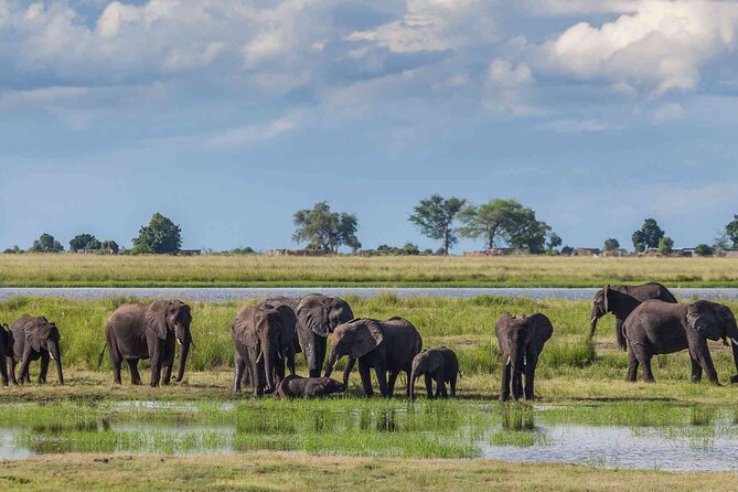 3 Days Unforgettable Masai Mara Safari Tour - Arriving at the Masai Mara in the late afternoon