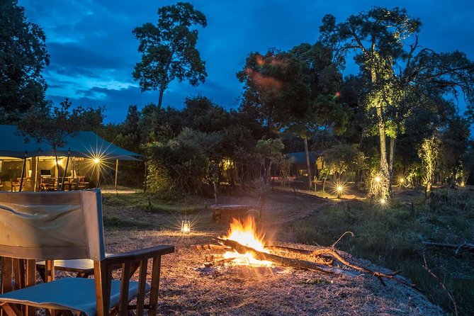 3 nights exclusive Masai Mara safari - Day two: Eight hours in the Mara