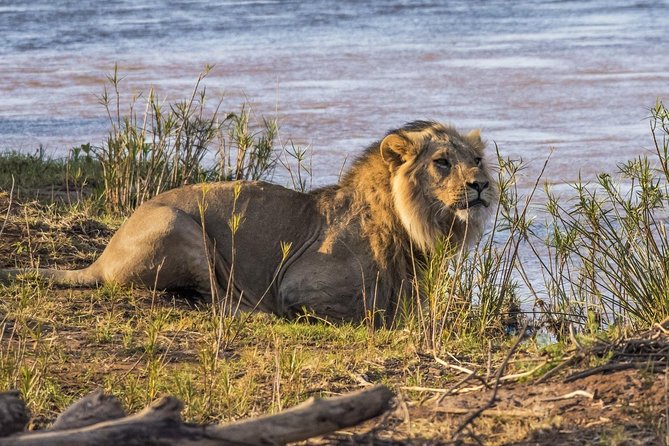 3 nights exclusive Masai Mara safari - Day three: Corridors, community, and conservation