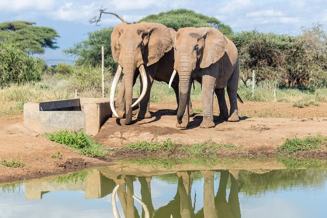 3day Amboseli Park Private safari - Why three days works well in Amboseli