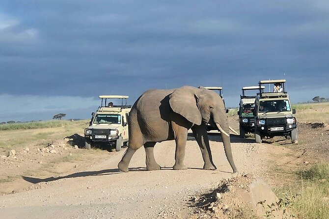 3day Amboseli Park Private safari - The optional Maasai village visit