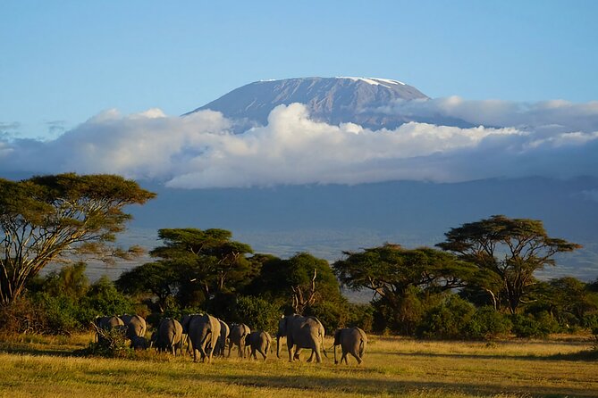 3day Amboseli Park Private safari - What the $999 price covers