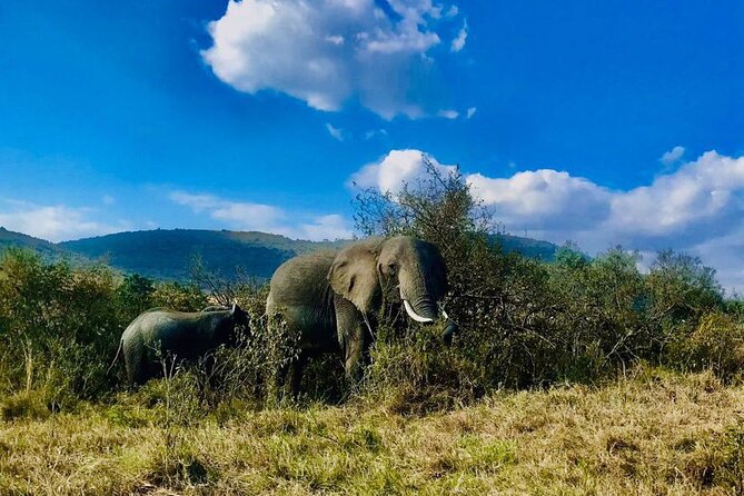 3days/2nights group joining Masai Mara with Masai Village Visit - Day 2: the safari day that carries the trip