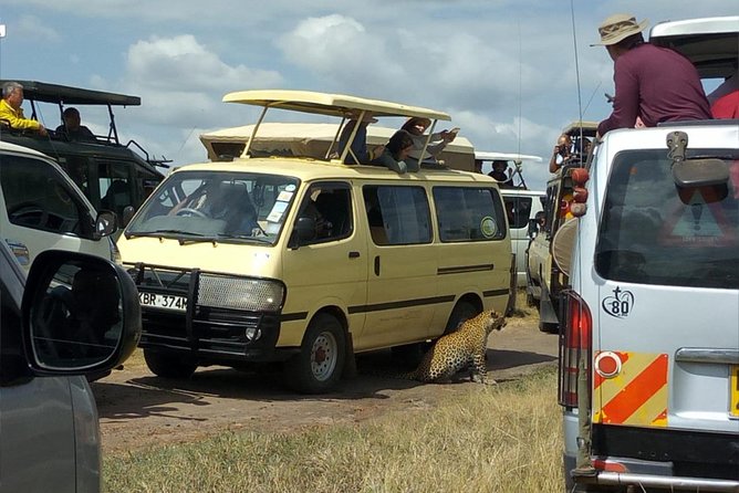 3days/2nights group joining Masai Mara with Masai Village Visit - A camp stay with a practical price tag