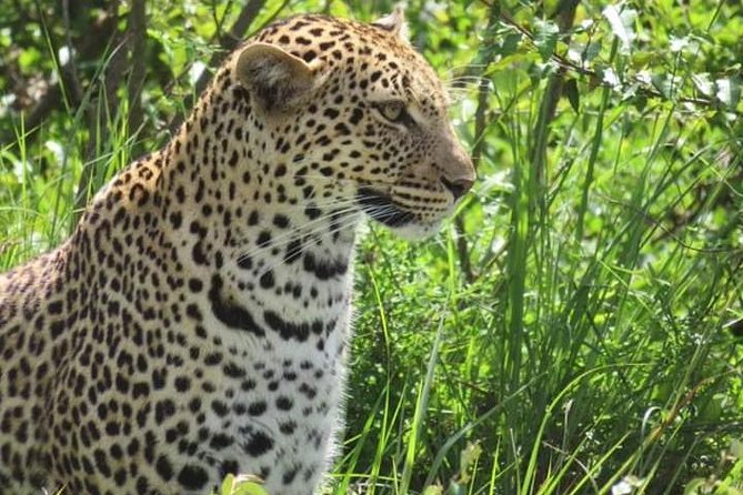 3days masai mara best of lodge safari - Who will get the most from this safari