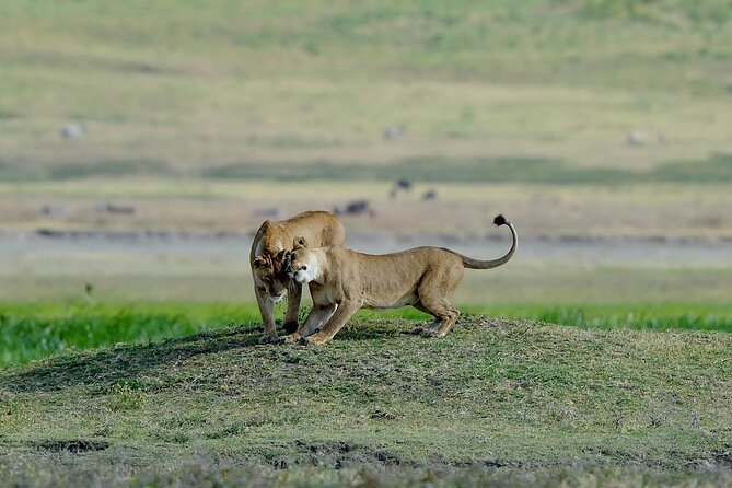 3days masai mara best of lodge safari - First afternoon: entering Maasai Mara National Reserve