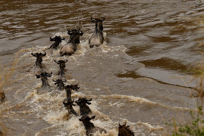3days Masai Mara private safari with a 4x4 land cruiser Jeep - Leaving Nairobi at 7:00 or 7:30 in the morning