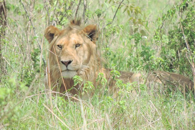 4-Day Adventure to Lake Nakuru & Maasai Mara - Leaving Nairobi for Lake Nakuru