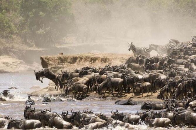 4-Day Group Safari to Maasai Mara & Lake Nakuru- 4 x 4 jeep - The $750 price and what it really covers