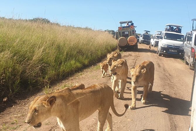 4 Day Group Tour to Maasai Mara and Lake Nakuru by a 4WD Cruiser - Day 3: Leaving the Mara for Lake Nakuru