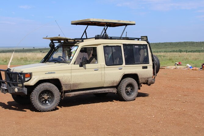 4 Day Group Tour to Maasai Mara and Lake Nakuru by a 4WD Cruiser - What the $350 price really covers