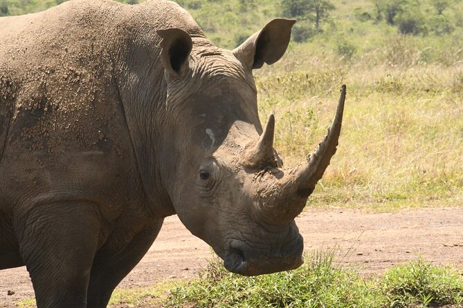4-Day Masai Mara and Lake Nakuru safari from Nairobi. - The early Mara drive, then the road to Lake Nakuru