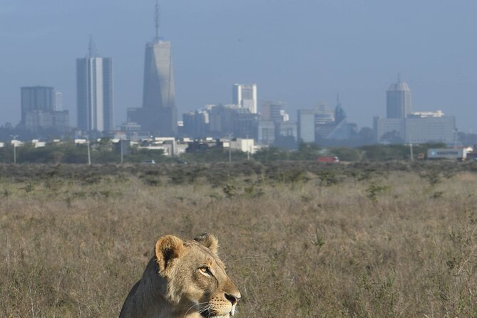 4-Day Masai Mara and Lake Nakuru safari from Nairobi. - What the $1,200 price really covers