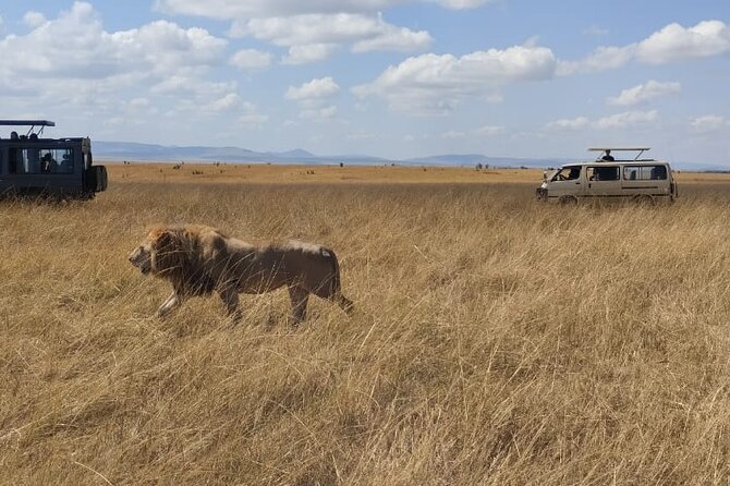 4-Day Masai Mara, L Naivasha and L Nakuru Safari - Why this three-park route works