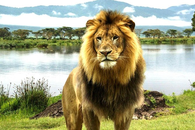4 Day Masai Mara & Lake Nakuru Group Joining Camping Safari - Daily Departures - Leaving Nairobi for the Maasai Mara