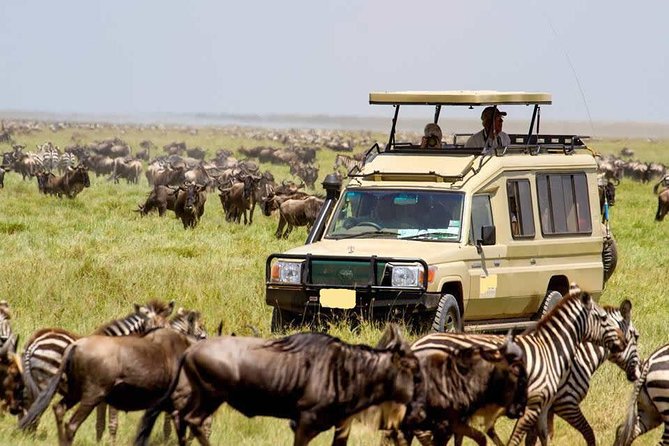 4 Day Masai Mara & Lake Nakuru Group Joining Camping Safari - Daily Departures - The long transfer to Lake Nakuru