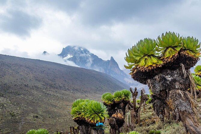 4 Day Mount Kenya Trek Up Chogoria Down Sirimon - Day 3: The Temple cliffs and Austrian Hut