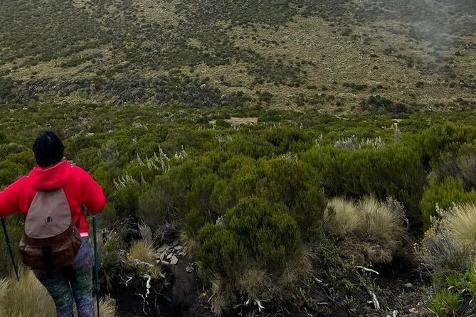 4-Day Mount Kenya Trekking with Pick Up - Guides, porters, and the human side of the trek