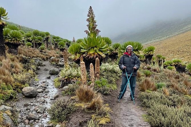 4-Day Mount Kenya Trekking with Pick Up - Food, camping, and what the price represents