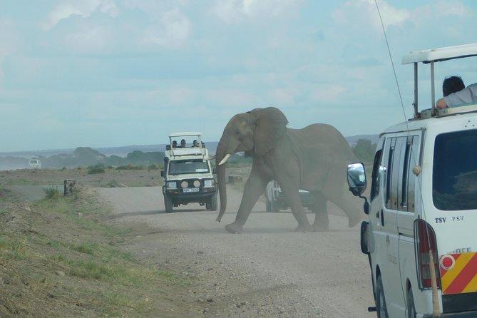 4 Day Private Masai Mara National Reserve & Lake Nakuru National Park Safari - Key points to know before booking