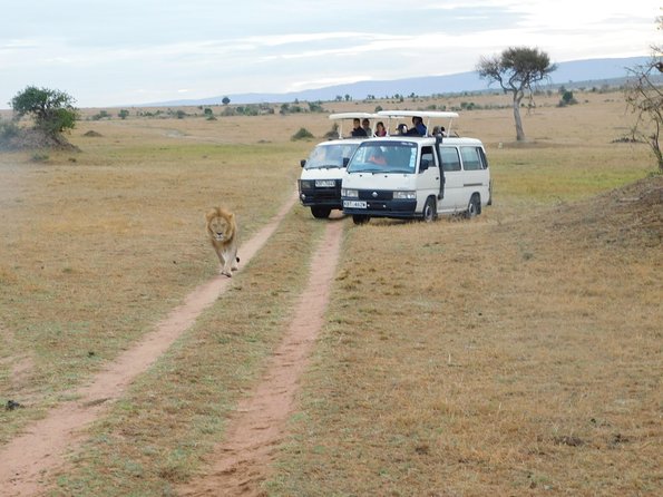 4 Day Private Masai Mara National Reserve & Lake Nakuru National Park Safari - Why this four-day route works