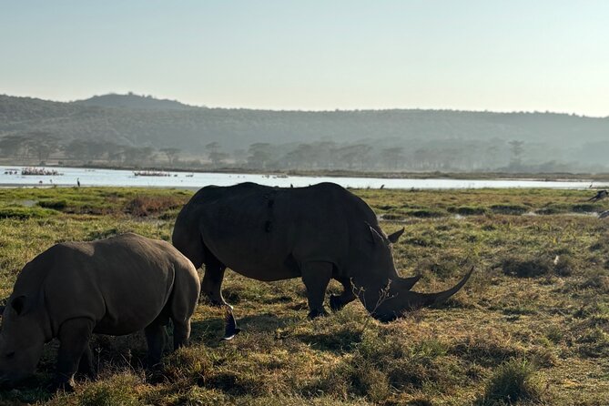 4 Days 4WD Private Maasai Mara, Nakuru Parks with Lodge LUXURY - Day 3: Maasai culture, Mai Mahiu, and Lake Nakuru