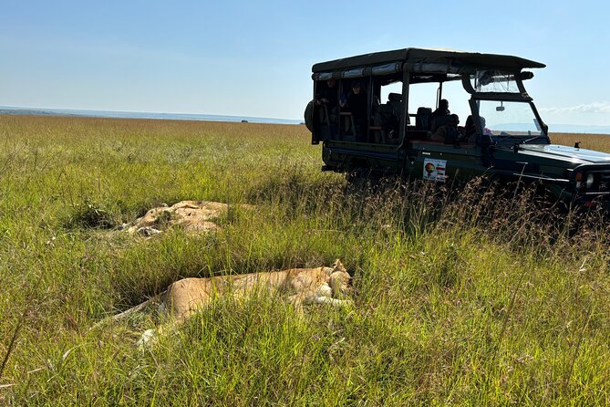 4 Days 4WD Private Maasai Mara, Nakuru Parks with Lodge LUXURY - Lodge comfort, food, and practical expectations