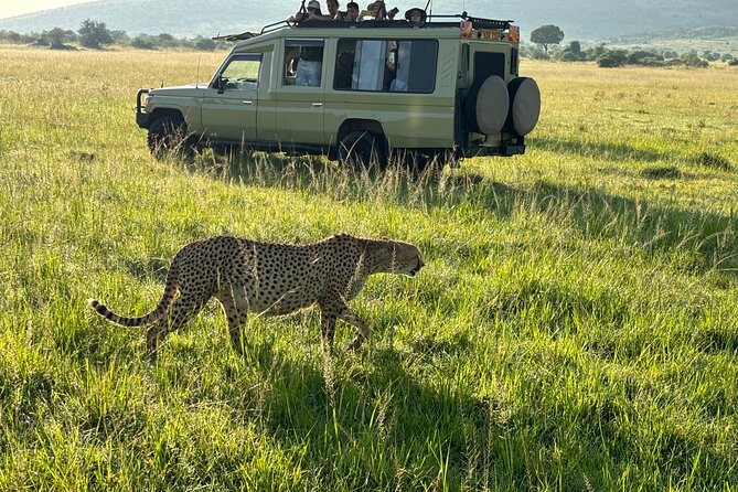4 Days 4WD Private Maasai Mara, Nakuru Parks with Lodge LUXURY - Day 1: From Nairobi viewpoints to the Maasai Mara