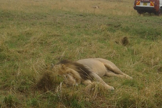 4 days group joining budget safari to Maasai Mara only - What the basic accommodation provides