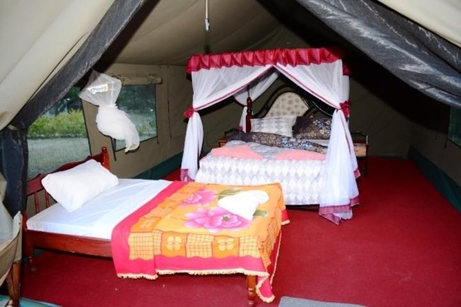 4 Days Group Joining Budget Safari To Masai Mara And Lake Nakuru National Park - Optional Maasai village and balloon safari costs