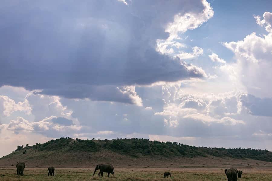 4 days Group safari in Masaai Mara and Lake Nakuru Park - Day three: leaving the Mara for Lake Nakuru