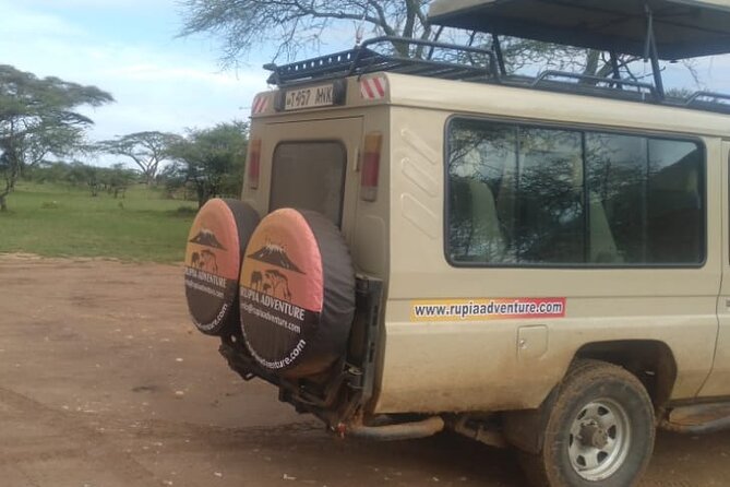 4 Days Kenya Safari - Day three: one last Mara look, then Lake Nakuru