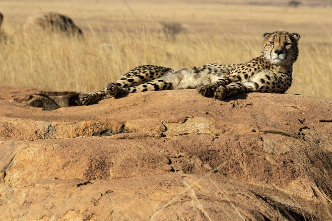 4 Days Lake Nakuru and Masai Mara Luxury Safari - Quick points before you book