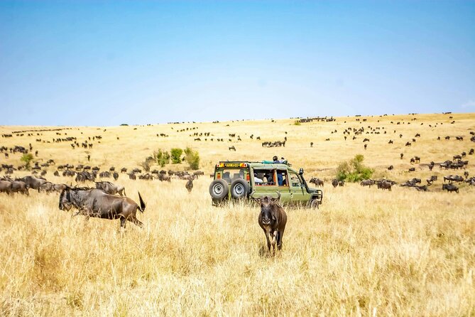 4 Days Lake Nakuru and Masai Mara Luxury Safari - From Nairobi to Lake Nakuru in one morning