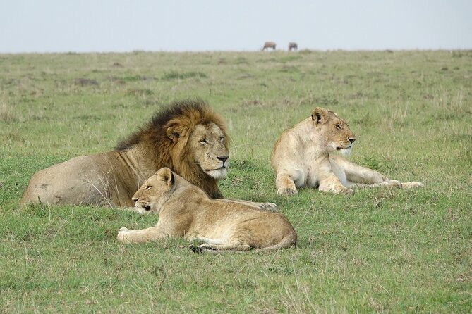 4 Days Landcruiser Safari to Masai Mara and Lake Nakuru - Leaving Nairobi for the Masai Mara