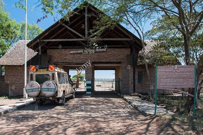 4 days Maasai Mara-Nakuru Mid-Range - Day 3: the safari day that makes the price easier to understand