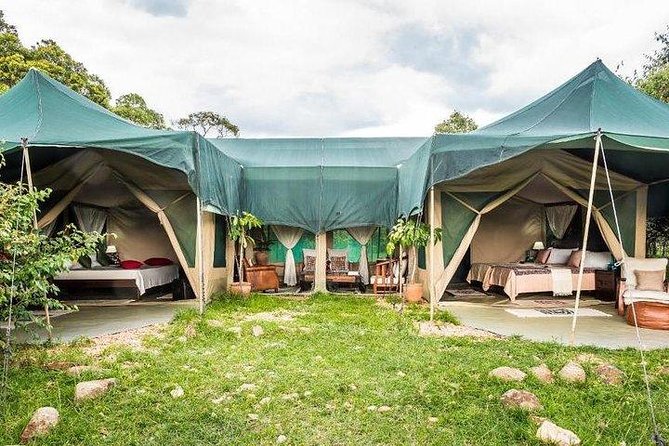 4 days Maasai Mara-Nakuru Mid-Range - How the private format changes the experience