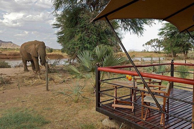 4 days Maasai Mara-Nakuru Mid-Range - Is $1,681.89 per person good value?