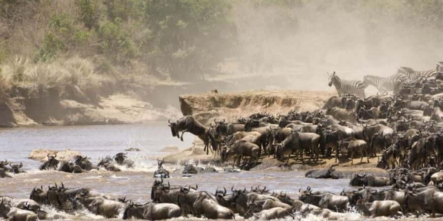 4 DAYS MAASAI MARA NATIONAL RESERVE GROUP SAFARI- 4WD - The real cost of a four-day Maasai Mara safari