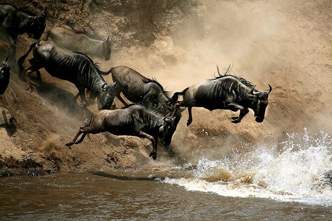 4 Days Masai Mara and Lake Nakuru Budget Safari Meals included - What the $336 price really buys you
