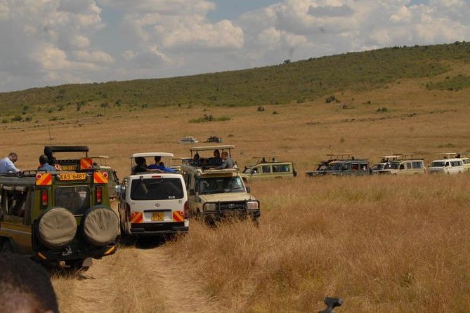 4 Days Masai Mara and Lake Nakuru Budget Safari Meals included - Day 4: Rhinos, giraffes, and Lake Nakuru birdlife