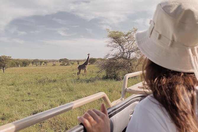 4 Days Masai Mara and Lake Nakuru Mid-Luxury safari - The 7:00 a.m. departure from Nairobi