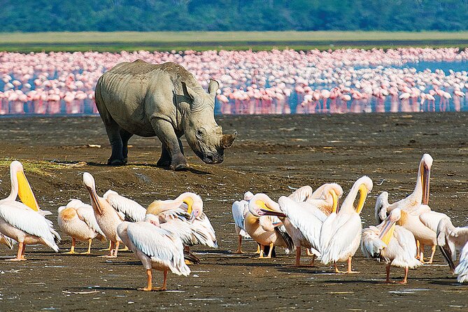 4 Days Masai Mara and Lake Nakuru Shared Camping Safari - Why this four-day route works