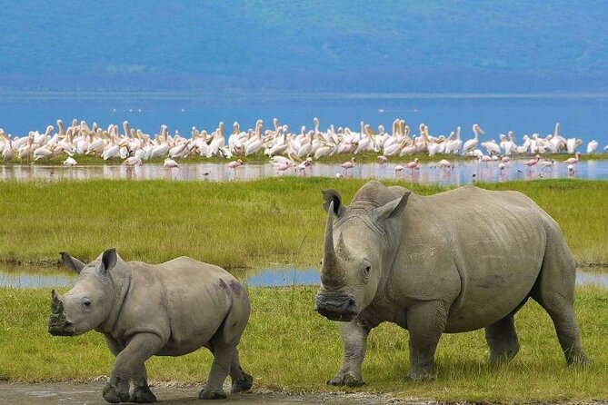4 Days Masai Mara & Lake Nakuru Budget Group Safari in a 4x4 Jeep - Day one: Nairobi to the Masai Mara