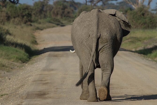 4 Days Masai Mara Nakuru - Camp comfort and what to confirm