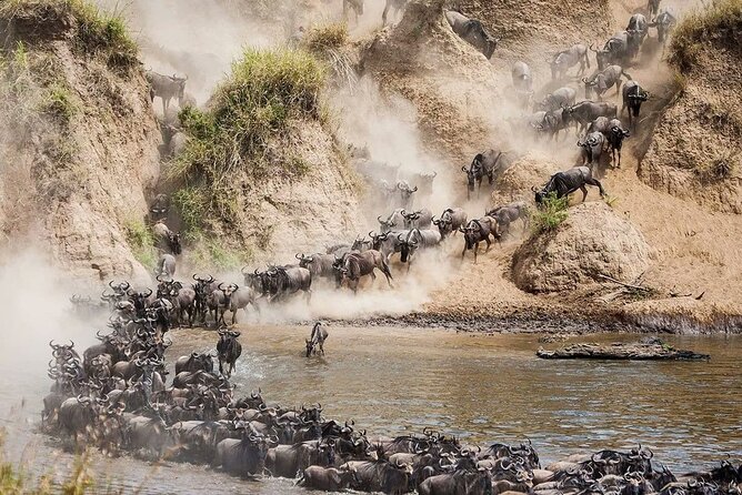 4 Days Mid Luxury Safari, Lake Nakuru and Masai Mara. - Day four is a useful but tiring finish