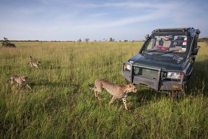 4 Days Mid Luxury Safari, Lake Nakuru and Masai Mara. - Lake Nakuru’s flamingos and rhinos