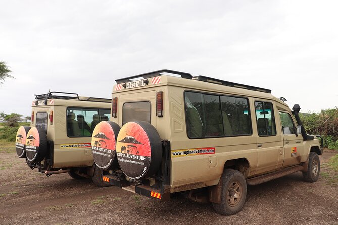 4 Days Mount Kenya Trekking - Day 4: Rainforest descent and the return to Nairobi
