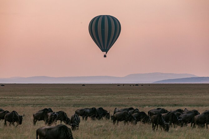 4 Days of Untamed Beauty: An Unforgettable Masai Mara Road Safari - Why four days is a sensible length for the Masai Mara